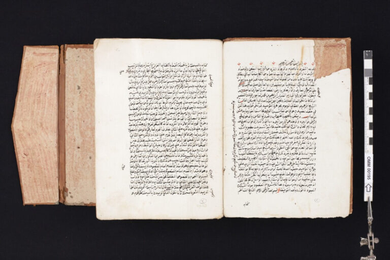 Mehr über den Artikel erfahren Ahmad asch-Scharnubi – Karamat und Wunder im Sufitum (Teil 9)